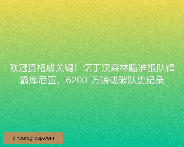 欧冠资格成关键！诺丁汉森林瞄准狼队锋霸库尼亚，6200 万镑或破队史纪录